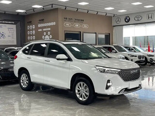 2021 Haval M6 Plus II, белый, 1140000 рублей, вид 3