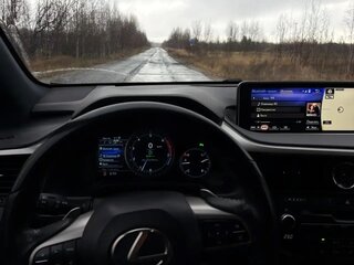 2019 Lexus RX 300 IV, чёрный, 4300000 рублей, вид 5