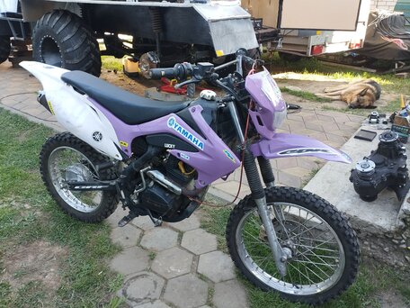2013 Motoland TD, фиолетовый, 75000 рублей, вид 4