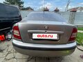 2007 Skoda Octavia I (A4) Рестайлинг, серый, 470000 рублей - вид 6