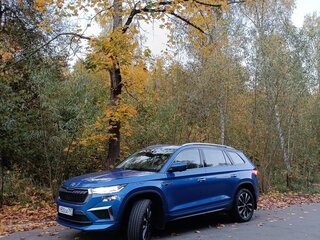 2024 Skoda Kodiaq I Рестайлинг, синий, 4450000 рублей, вид 4
