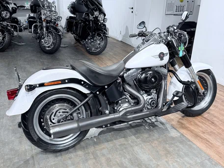 2011 Harley-Davidson Fat Boy, белый, 1399000 рублей, вид 4