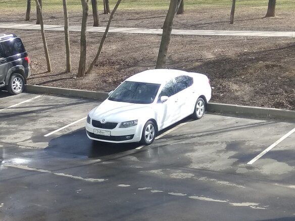 2014 Skoda Octavia III (A7), белый, 1300000 рублей - вид 8