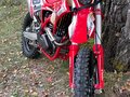2024 Regulmoto Holeshot, красный, 260000 рублей - вид 2