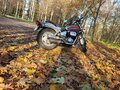 1997 Suzuki Desperado VZ400, серый, 230000 рублей - вид 5