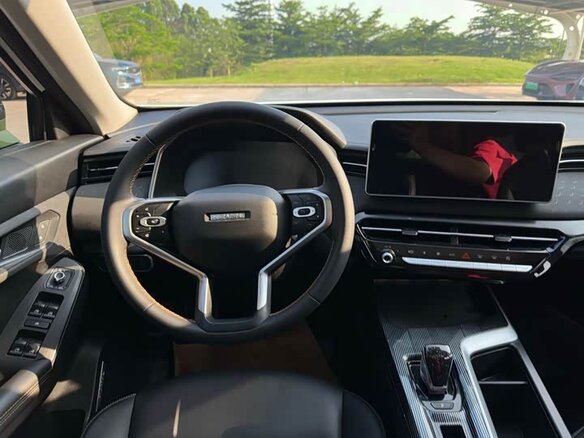 2022 Haval Chitu, белый, 1430000 рублей - вид 10
