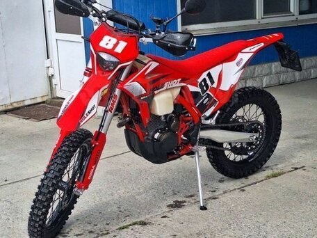 2025 Regulmoto Holeshot, красный, 255000 рублей, вид 2