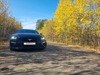 2020 Ford Mustang VI Рестайлинг, чёрный, 4330000 рублей, вид 3