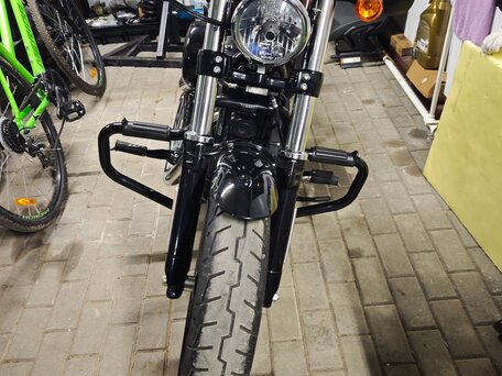 2019 Harley-Davidson Sportster 1200, пурпурный, 1200000 рублей, вид 2