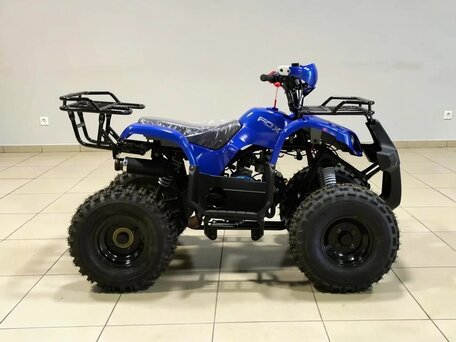 2026 Motoland ATV 150 Fox, бежевый, 145300 рублей, вид 2
