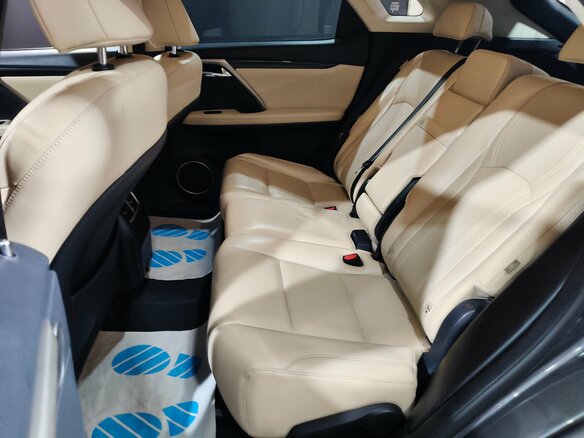 2022 Lexus RX 300 IV Рестайлинг, серый - вид 17