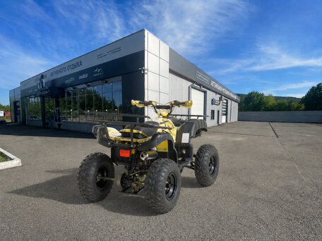 2026 Motoland ATV 250 Adventure, бежевый, 173200 рублей, вид 4