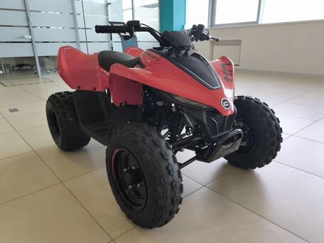 2025 CFMoto CFORCE 110, красный, 269910 рублей, вид 2