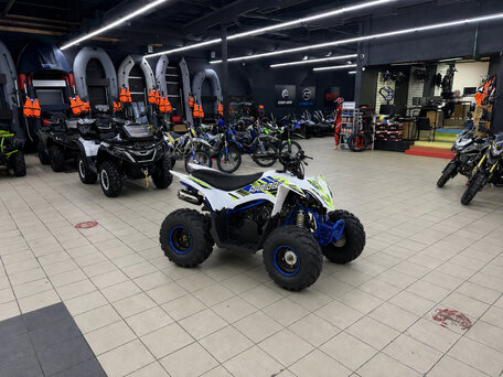 2026 Mikilon Rapide 110, белый, 90200 рублей, вид 2