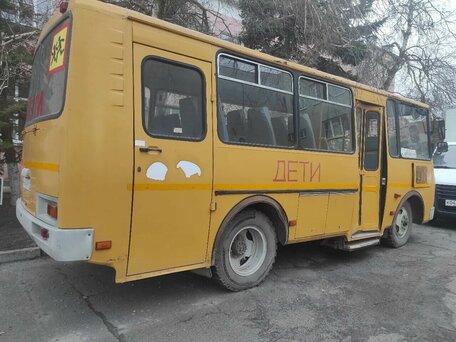 2012 ПАЗ 3205, жёлтый, 500000 рублей, вид 1