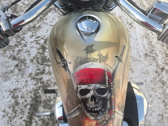 2010 Honda VT 1300CX Fury, серый - вид 8