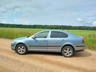 2005 Skoda Octavia II (A5), серый, 470000 рублей, вид 5