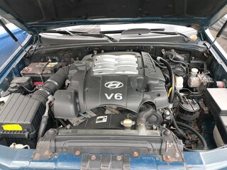 2003 Hyundai Terracan I, зелёный, 790000 рублей, вид 5