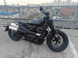 2024 Harley-Davidson Sportster S, коричневый, 1500000 рублей, вид 1