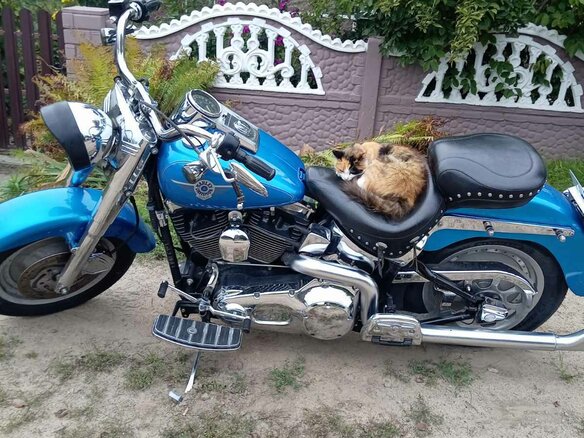2002 Harley-Davidson Fat Boy, синий, 660000 рублей - вид 7