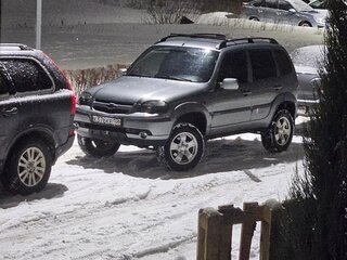 2010 Chevrolet Niva I Рестайлинг, серый, 545000 рублей, вид 3