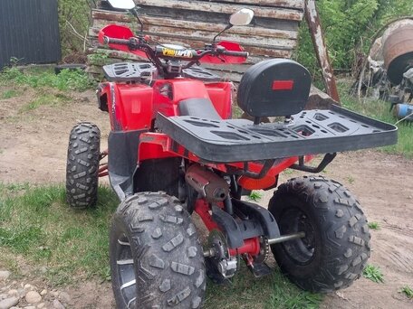 2024 Другие ATV (другие), красный, 150000 рублей, вид 2