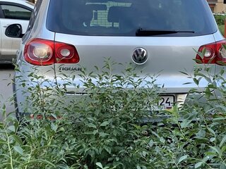 2009 Volkswagen Tiguan I, серебристый, 1130000 рублей, вид 2