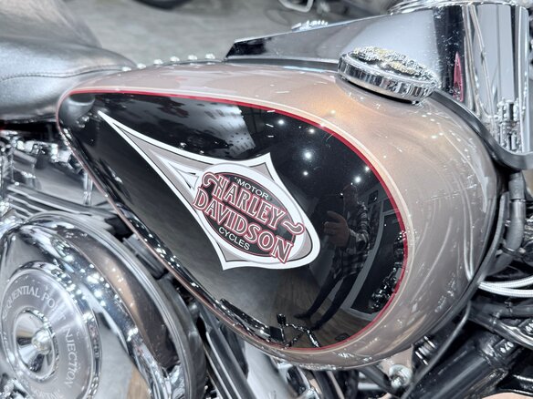 2004 Harley-Davidson Heritage, бежевый, 999000 рублей - вид 20