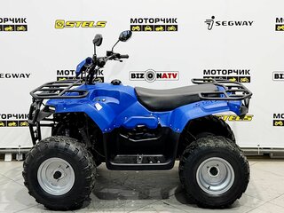 2026 Irbis ATV 200U, синий, 249000 рублей, вид 2