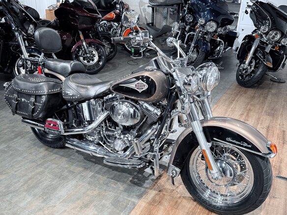 2004 Harley-Davidson Heritage, бежевый, 999000 рублей - вид 1