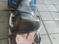 2010 Arctic Cat Bearcat, синий, 650000 рублей - вид 2