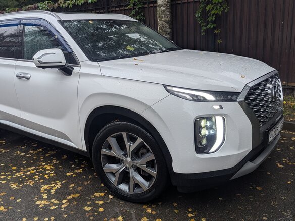 2020 Hyundai Palisade I, белый - вид 1