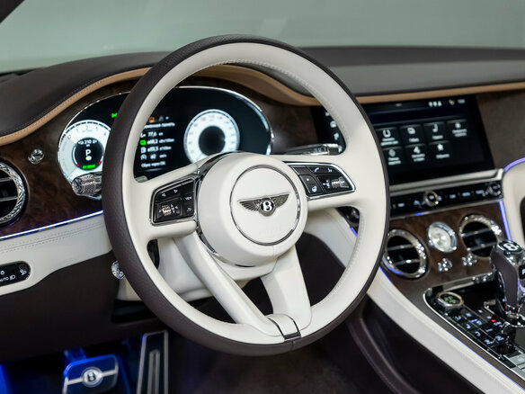 2025 Bentley Continental GT Speed IV, серый, 48865000 рублей - вид 27