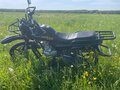 2024 Minsk (Минск) Ranger 200, чёрный, 135000 рублей