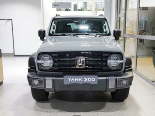 2024 Tank 300 I, серый, 4599000 рублей, вид 5