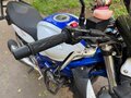2013 Suzuki SFV 400 Gladius, синий, 399999 рублей - вид 11