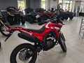 2026 Loncin DS250, красный, 258000 рублей - вид 5