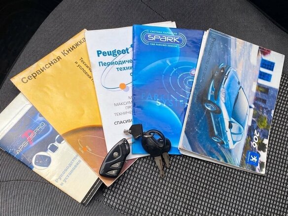 2007 Peugeot 206, серый, 215000 рублей - вид 11
