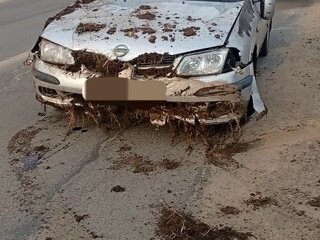 2000 Nissan Almera II (N16), серебристый, 110000 рублей, вид 2
