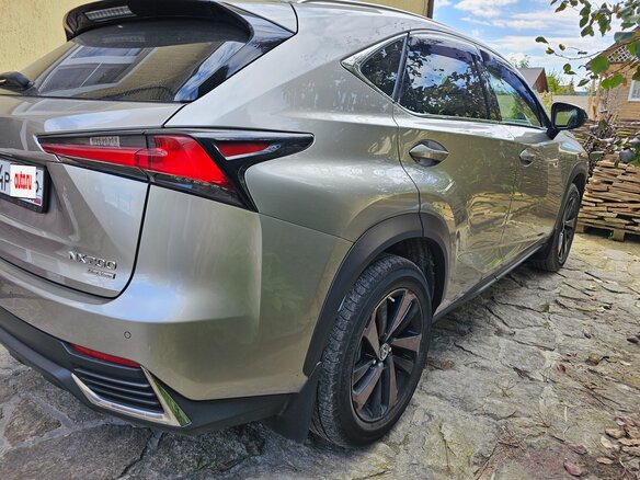 2020 Lexus NX 200 I Рестайлинг, серый, 6200000 рублей - вид 8