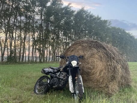 2014 Racer Alpha, чёрный, 40000 рублей, вид 1