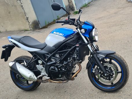 2019 Suzuki SV 650, синий, 505000 рублей, вид 2