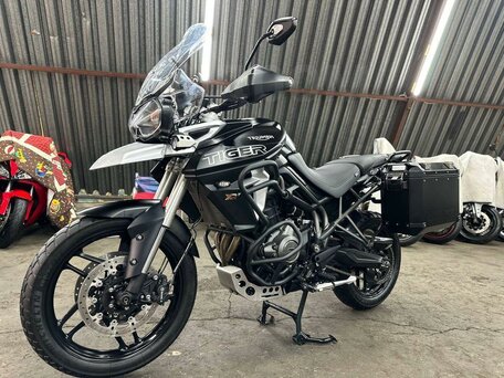 2019 Triumph Tiger 1200, чёрный, 1080000 рублей, вид 2