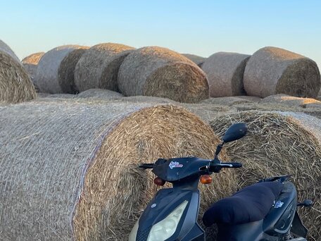 2009 Honda Tact, чёрный, 15000 рублей, вид 2