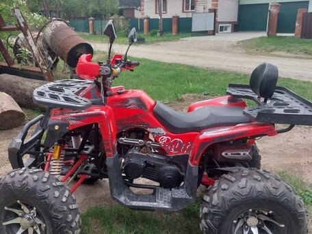 2024 Другие ATV (другие), красный, 150000 рублей, вид 3