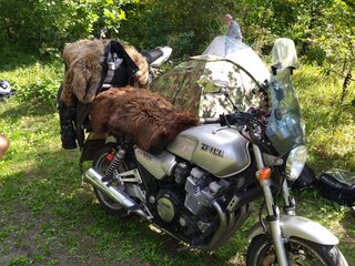 Yamaha XJR1200