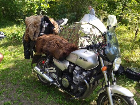 1995 Yamaha XJR1200, серебристый, 350000 рублей, вид 1