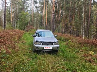 2004 Subaru Forester II, серебристый, 830000 рублей, вид 2