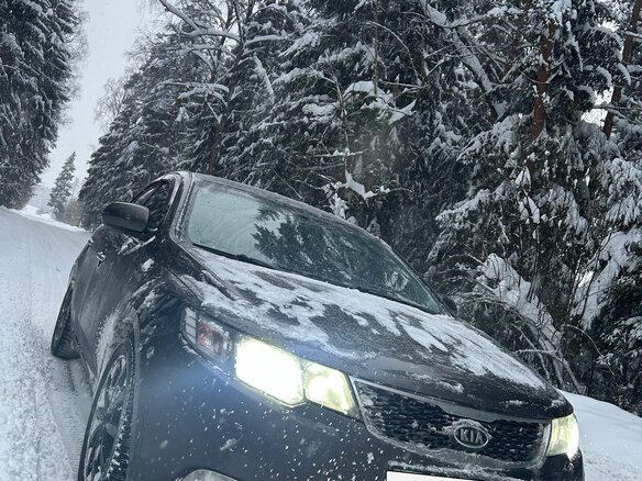 2011 Kia Cerato 6-speed II, золотистый - вид 2