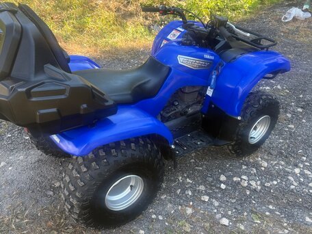 2007 Yamaha Grizzly 125, синий, 300000 рублей, вид 2